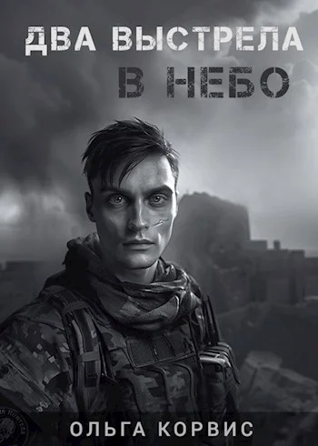 Обложка Два выстрела в небо
