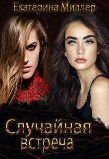 Обложка Случайная встреча