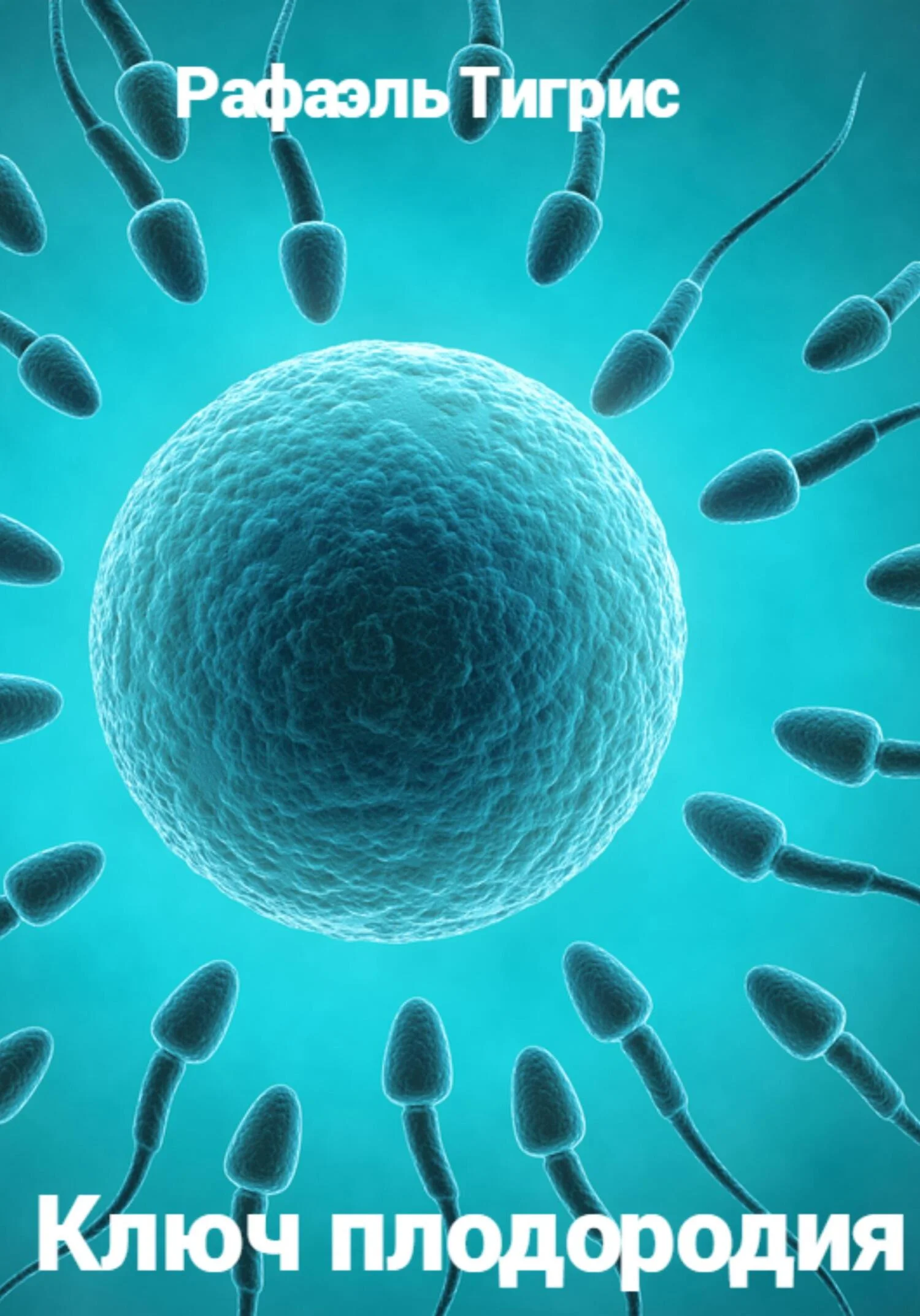 Обложка Ключ плодородия