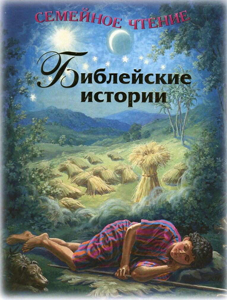 Обложка Библейские истории. Семейное чтение