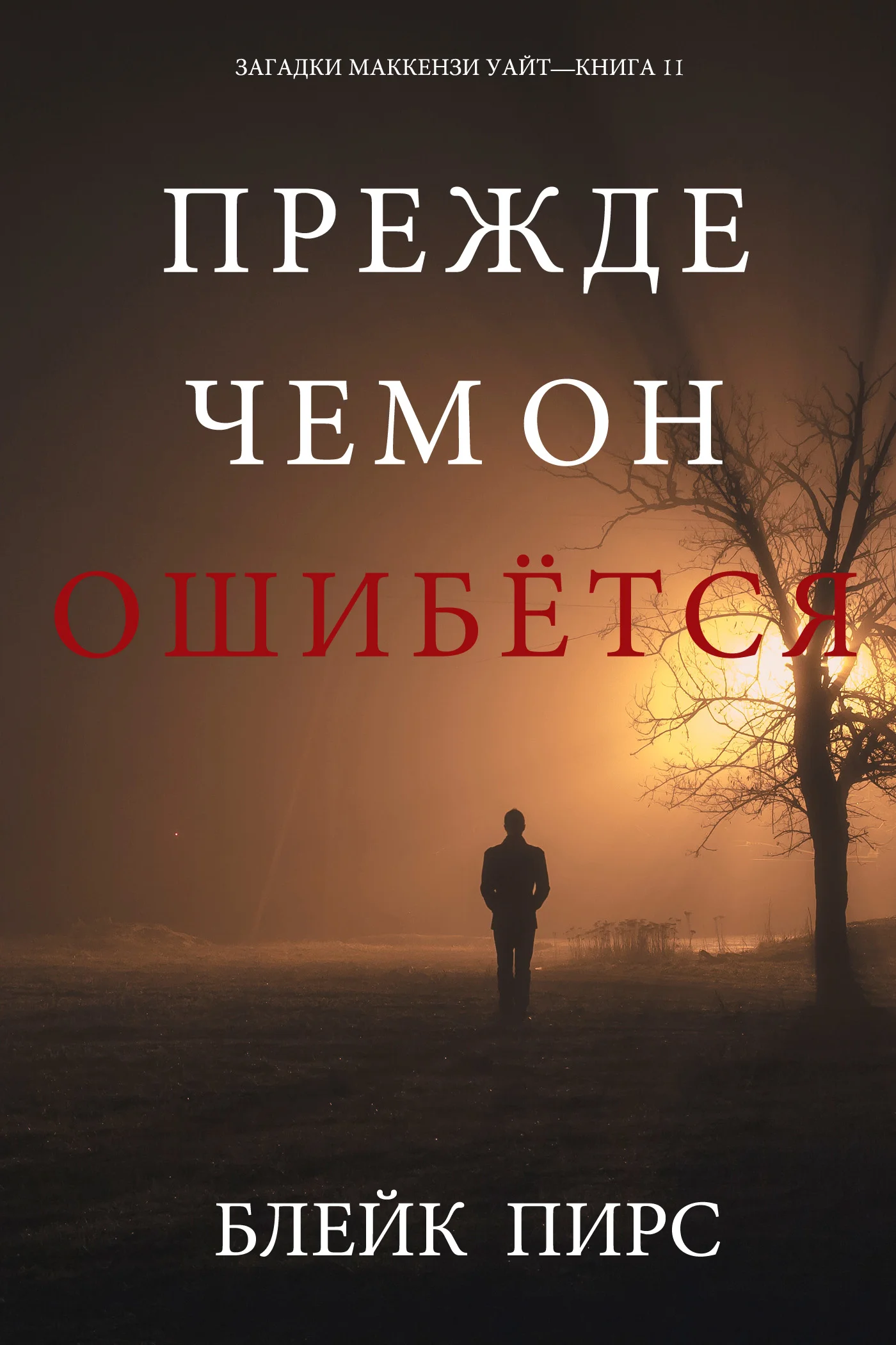Обложка Прежде чем он ошибётся
