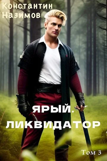 Обложка Ярый. Ликвидатор