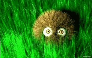 Обложка Когда прилетит эсхатудра