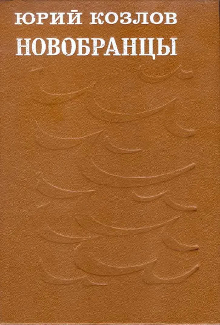 Обложка Новобранцы
