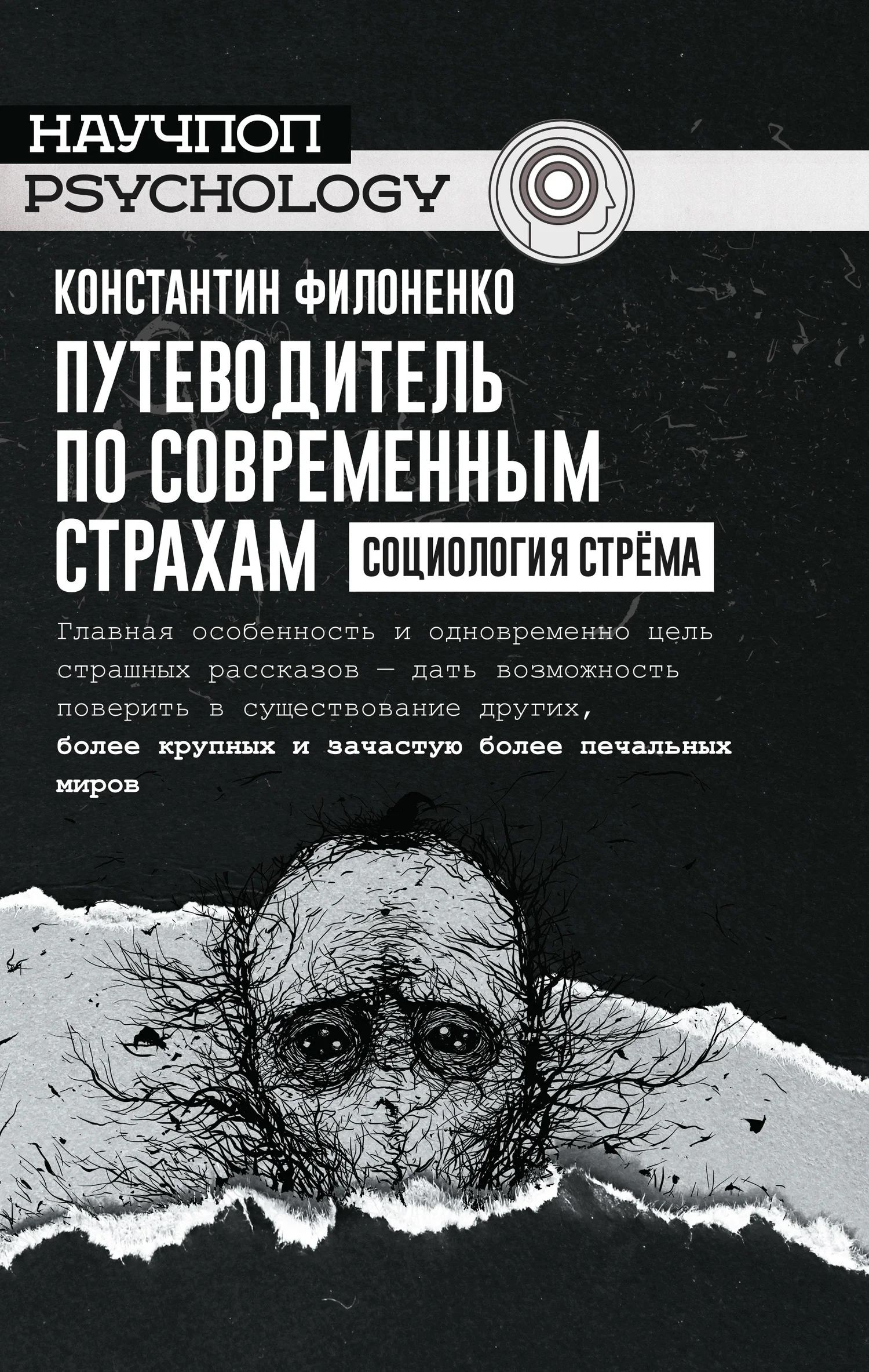 Обложка Путеводитель по современным страхам. Социология стрёма