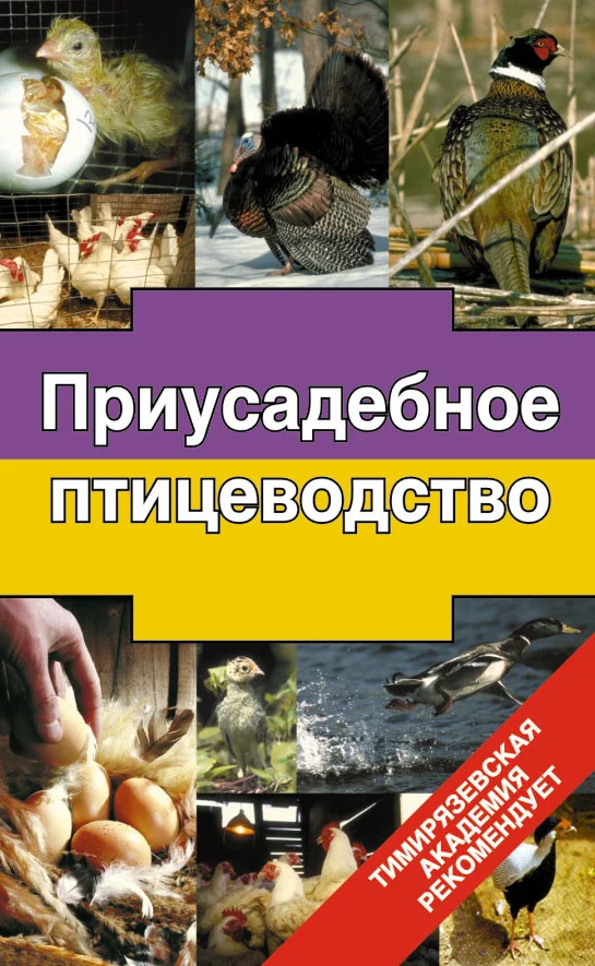 Обложка Приусадебное птицеводство
