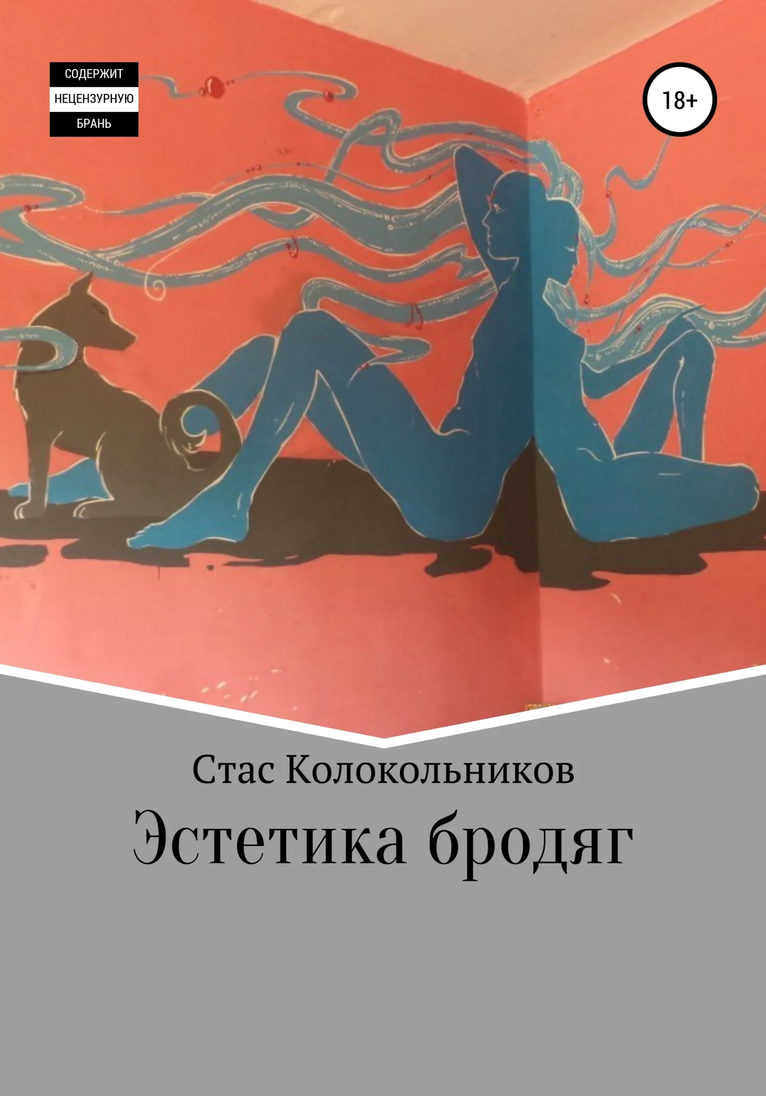 Обложка Эстетика бродяг