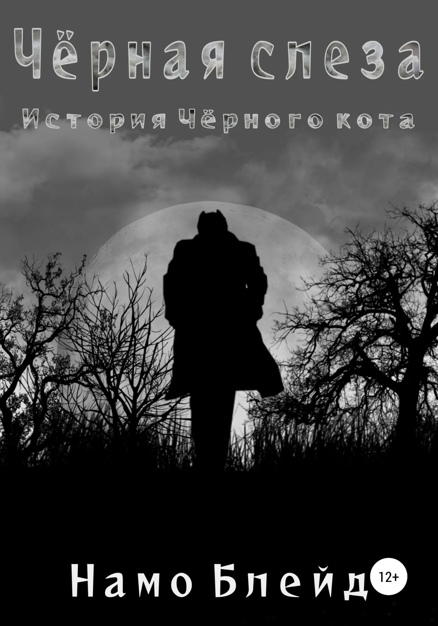 Обложка Чёрная слеза. История чёрного кота