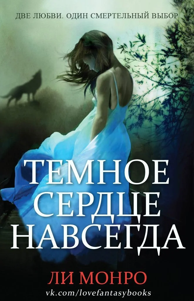 Обложка Темное сердце навсегда