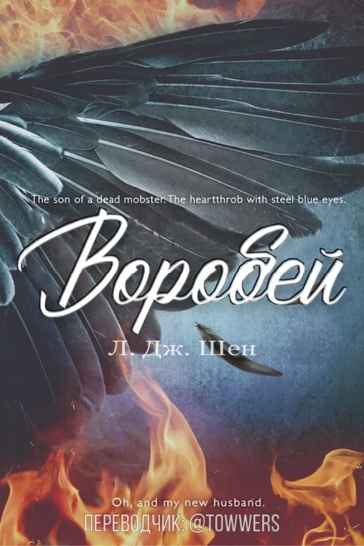 Обложка Воробей