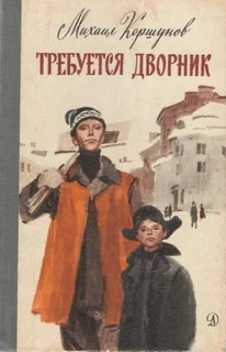 Обложка Требуется дворник