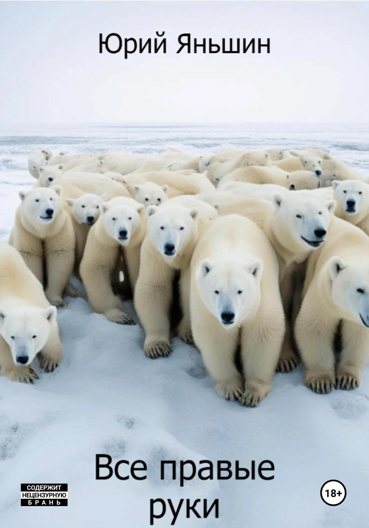 Обложка Все правые руки