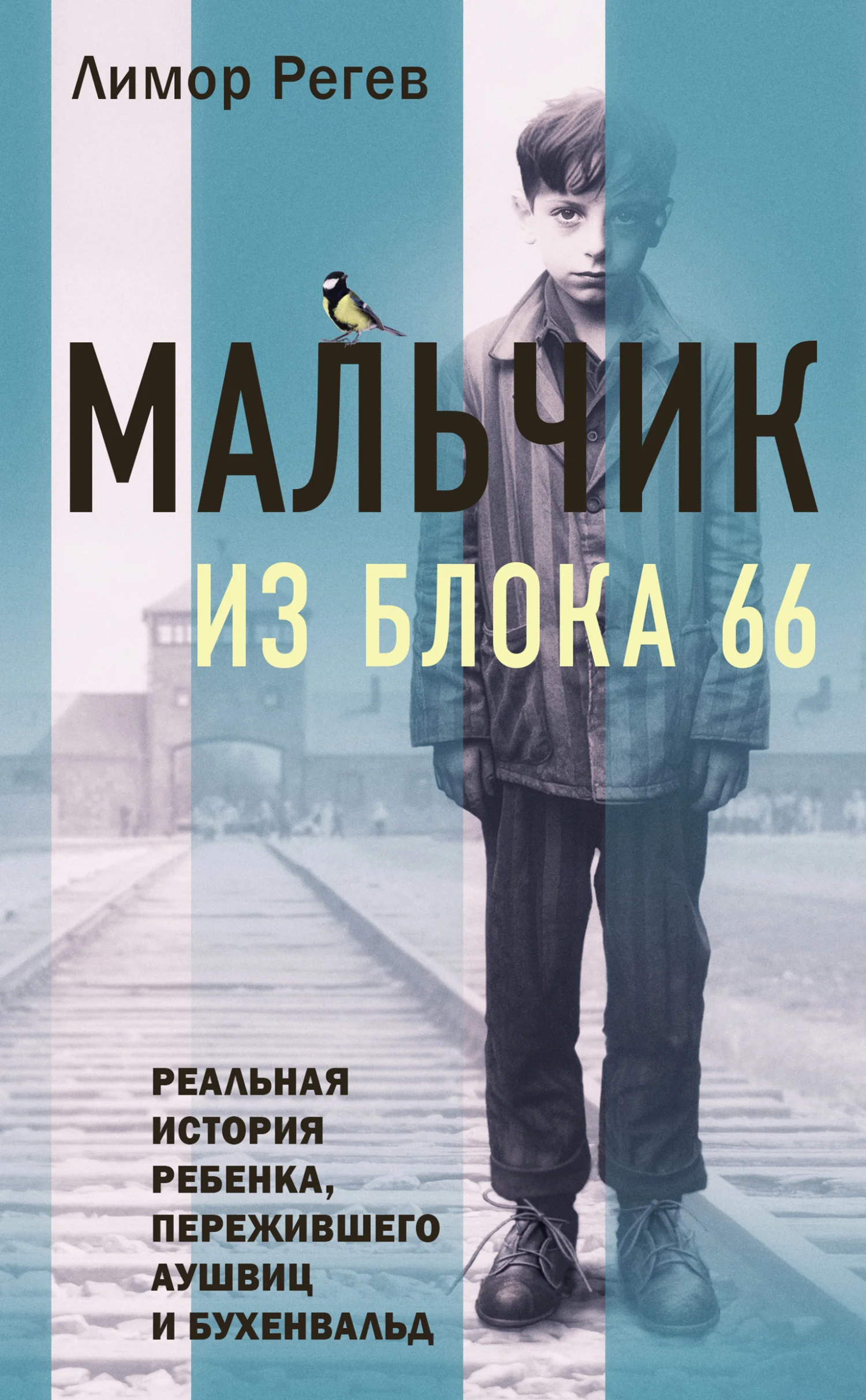 Обложка Мальчик из Блока 66. Реальная история ребенка, пережившего Аушвиц и Бухенвальд