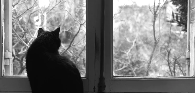 Обложка Молчаливый хранитель семейной истории