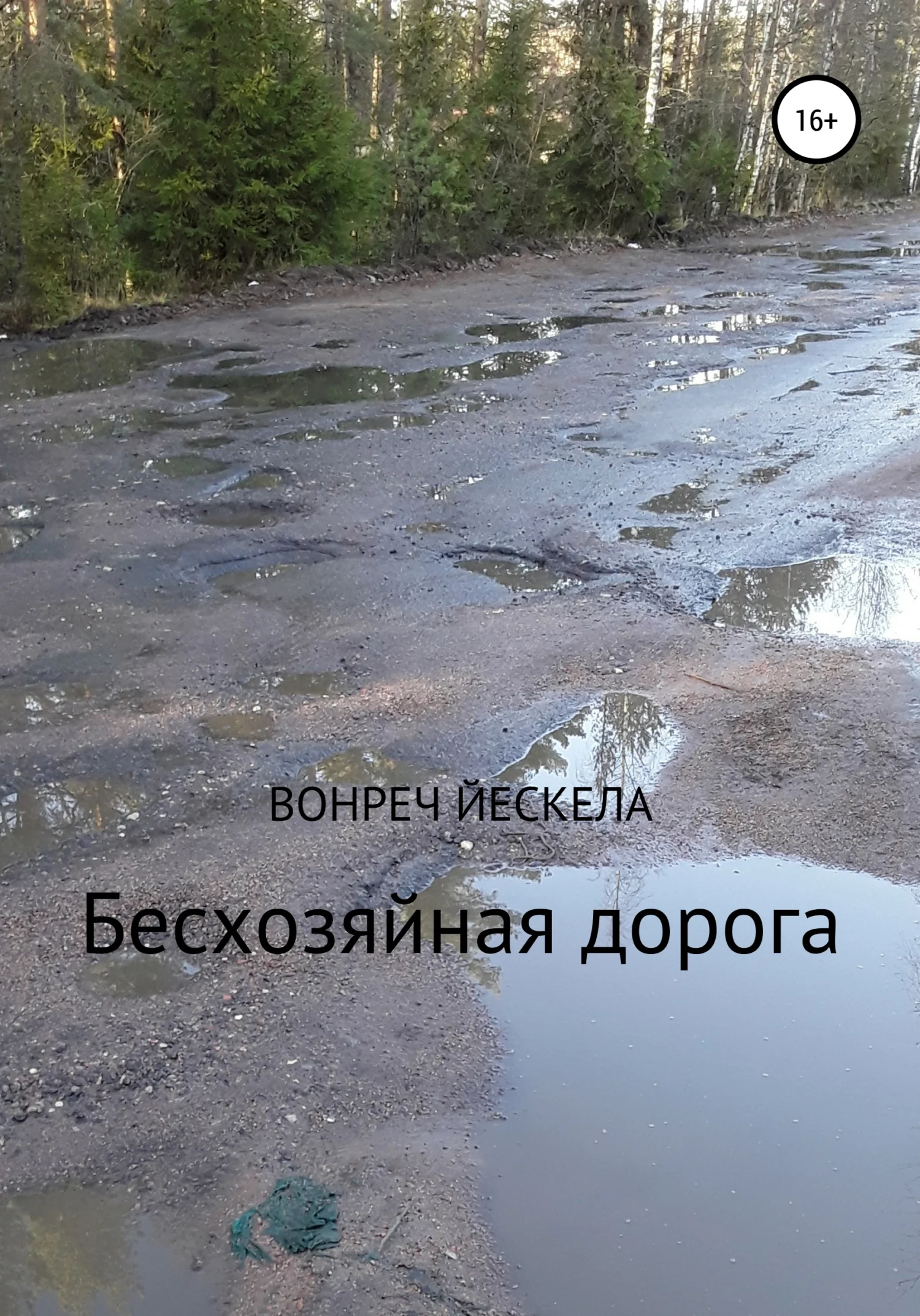 Обложка Бесхозяйная дорога