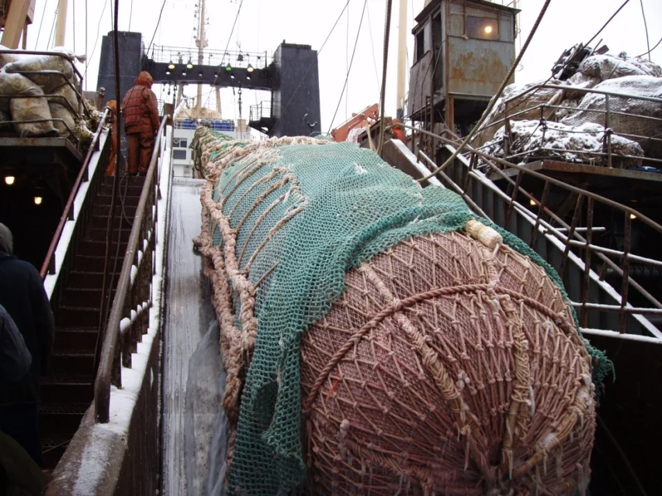 Обложка Хозяева южных морей