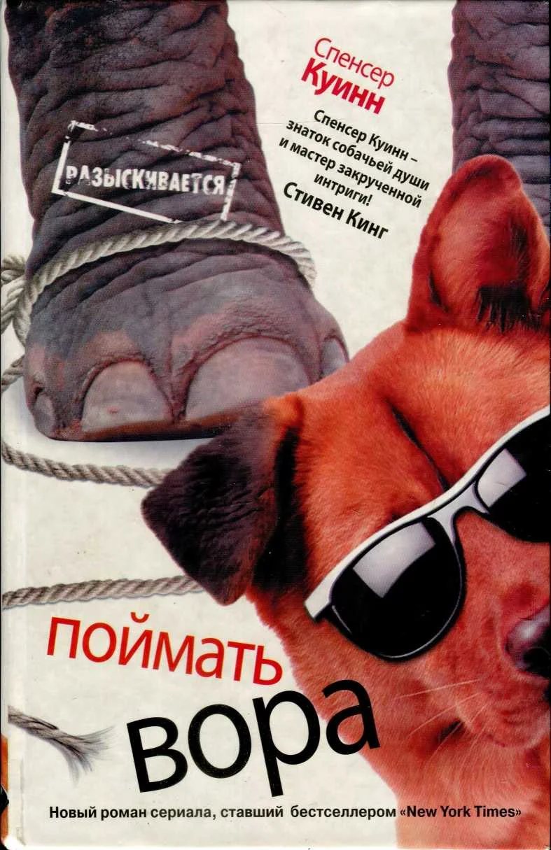 Обложка Поймать вора