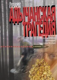Обложка Адычанская трагедия