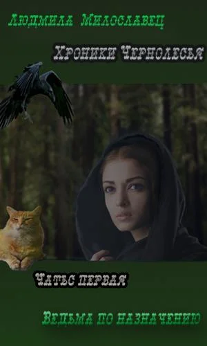 Обложка Ведьма по назначению