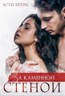 Обложка За каменной стеной