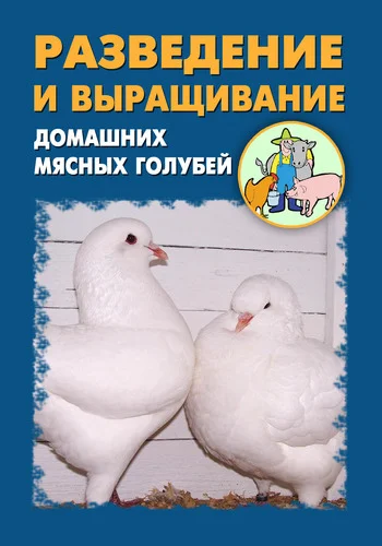 Обложка Разведение и выращивание домашних мясных голубей