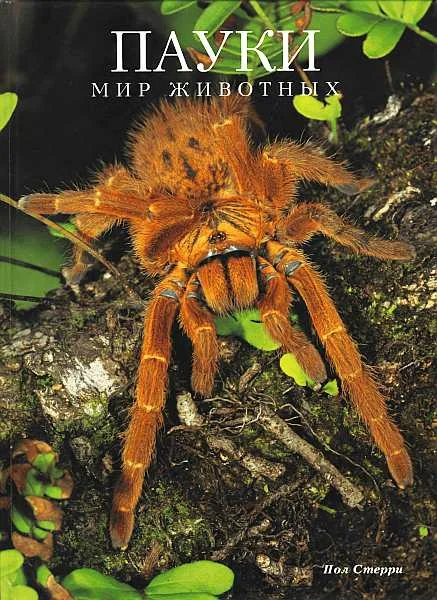 Обложка Пауки