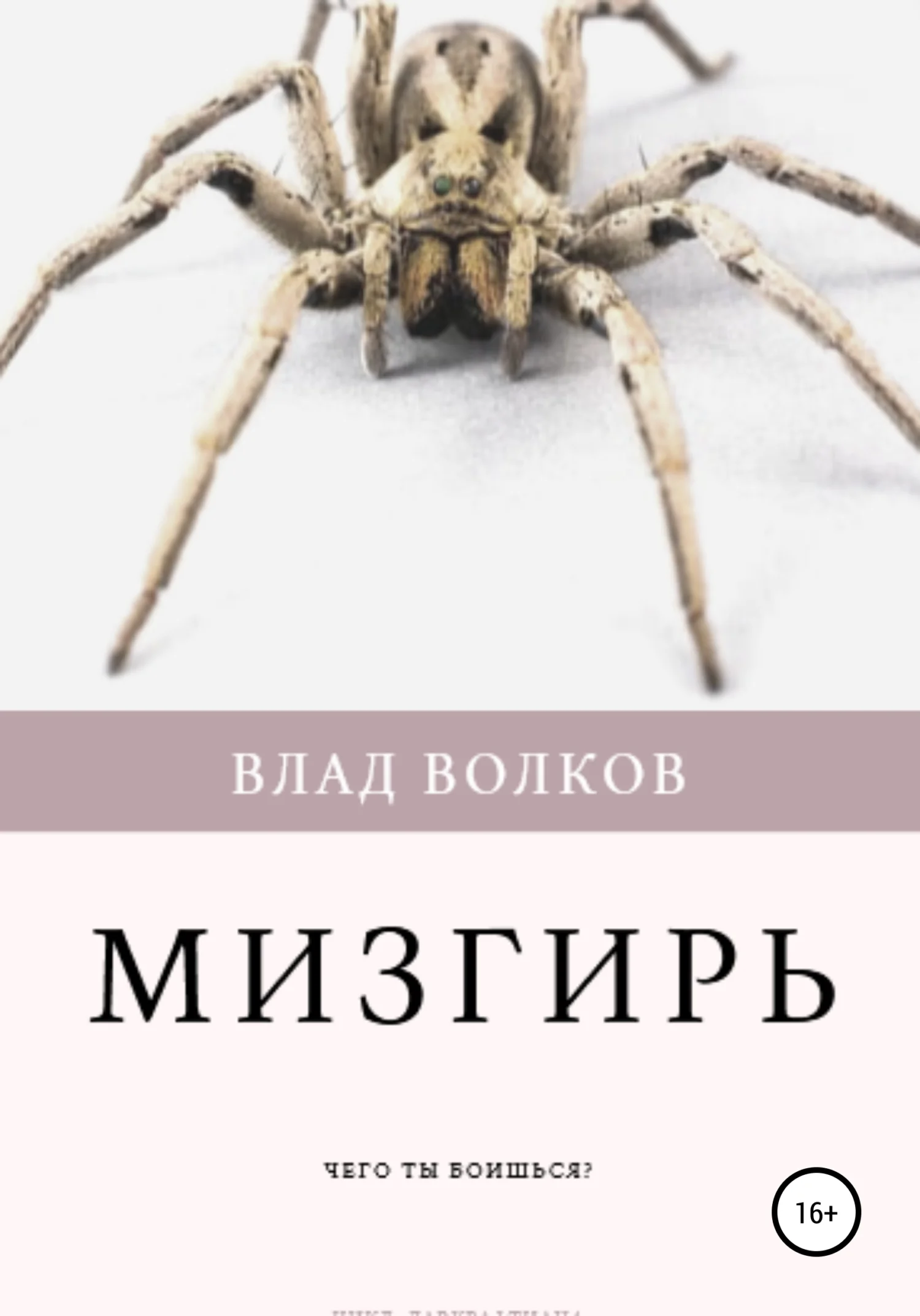 Обложка Мизгирь