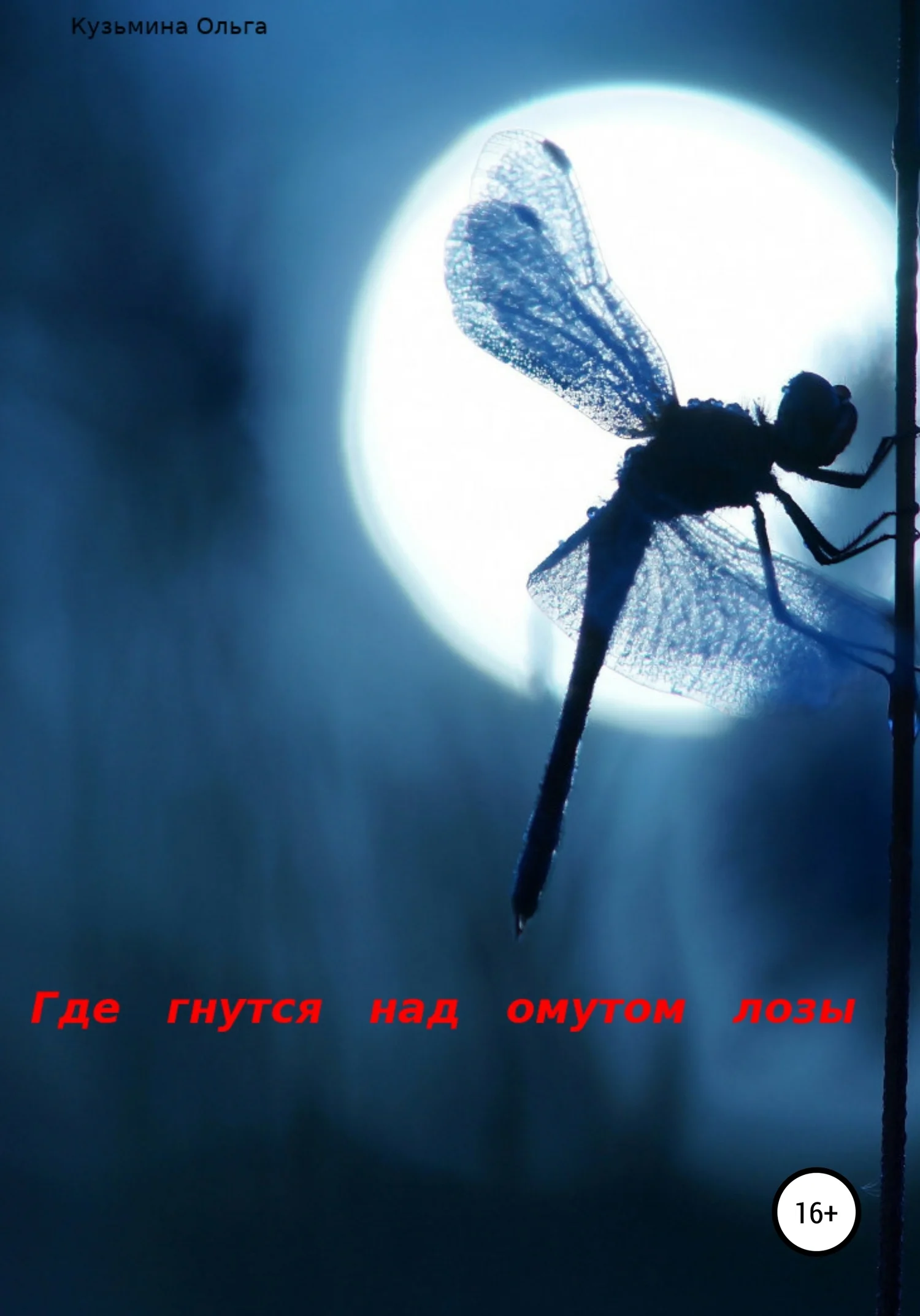 Обложка Где гнутся над омутом лозы