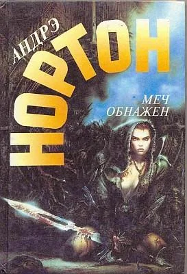 Обложка Меч в ножнах