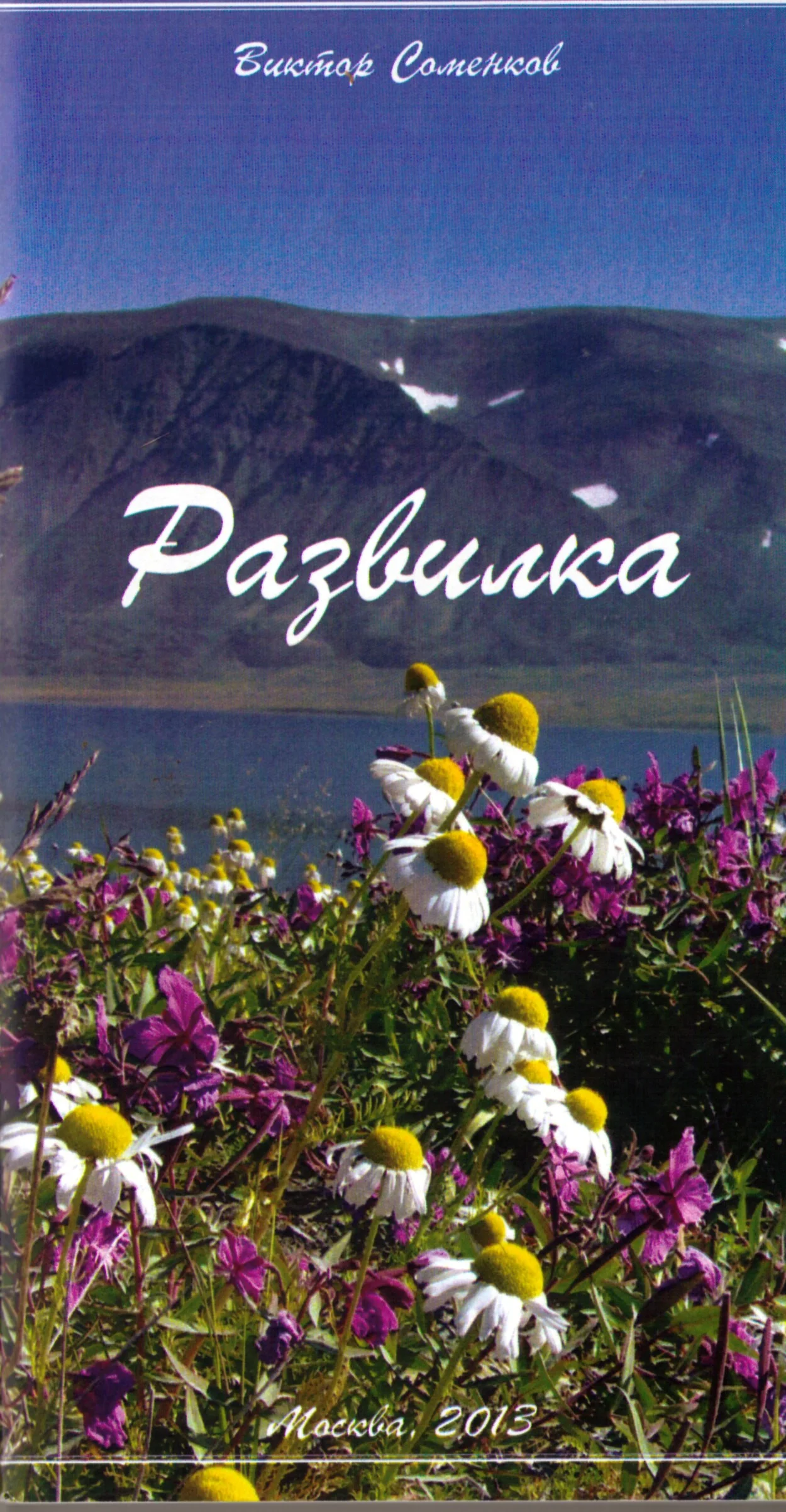 Обложка Развилка