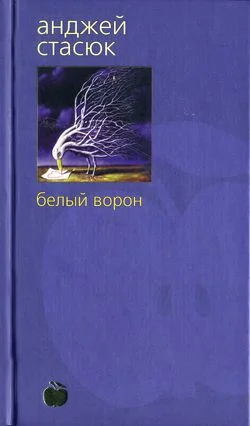 Обложка Белый ворон