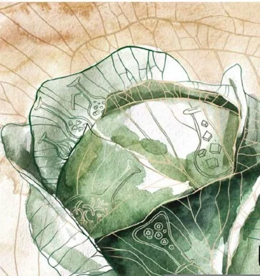 Обложка Бабушкины щи