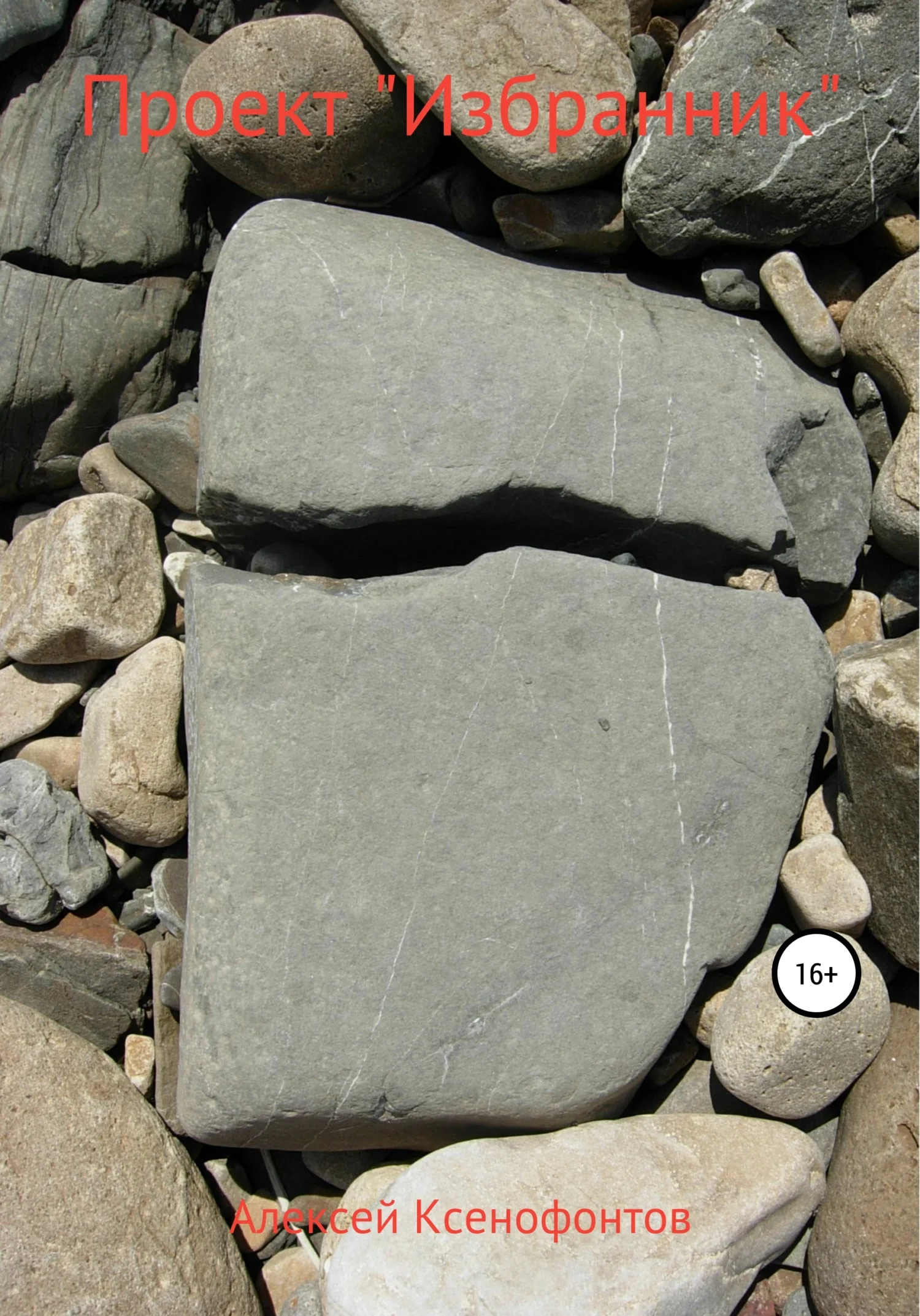 Обложка Проект «Избранник»