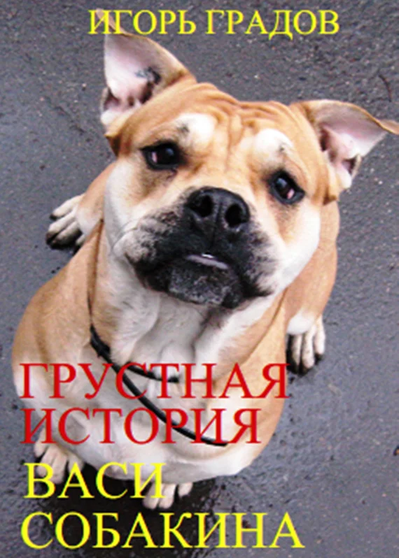 Обложка Грустная история Васи Собакина