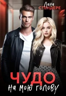 Обложка Чудо на мою голову