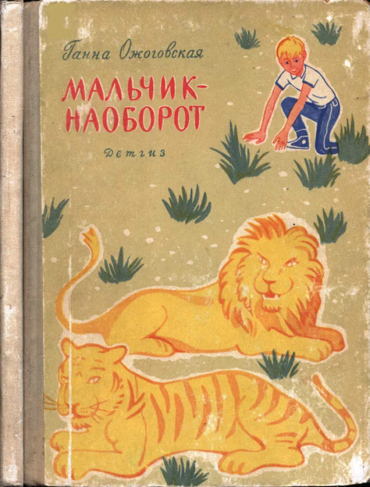 Обложка Мальчик-наоборот
