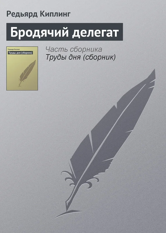 Обложка Бродячий делегат