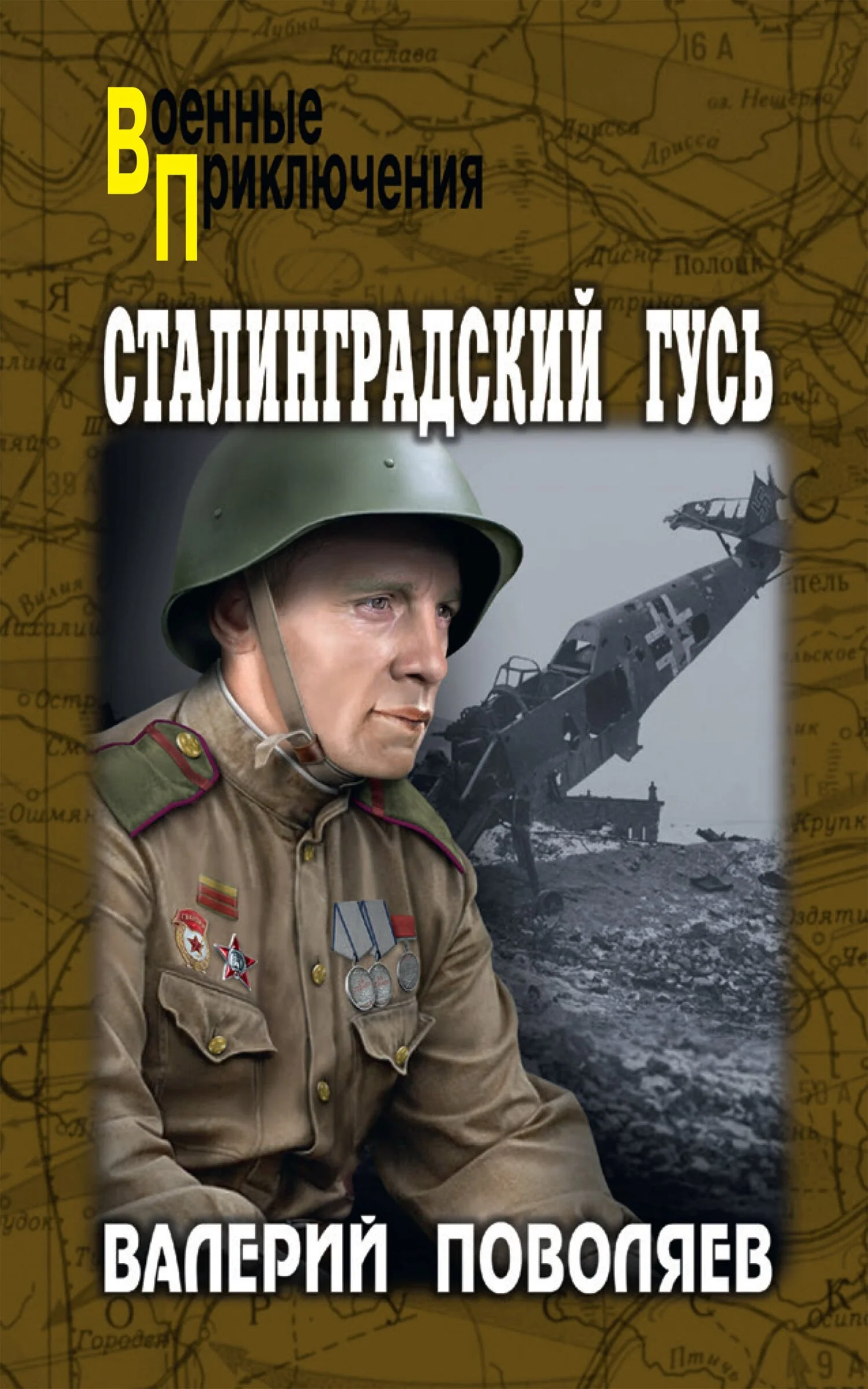 Обложка Сталинградский гусь