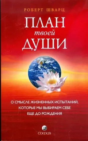 Обложка План твоей души. О смысле жизненных испытаний, которые мы выбираем себе еще до рождения