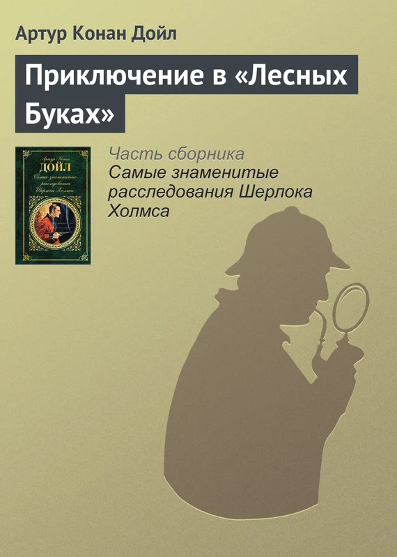 Обложка Приключение в «Лесных Буках»