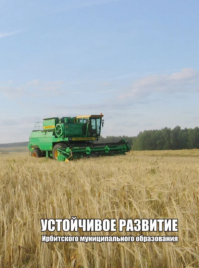 Обложка Устойчивое развитие Ирбитского муниципального образования, часть 2