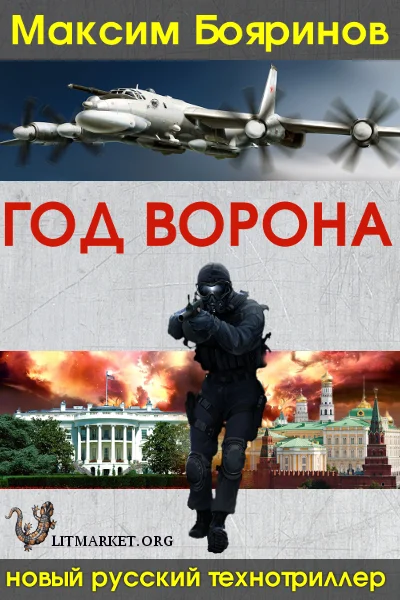 Обложка Год ворона, книга первая