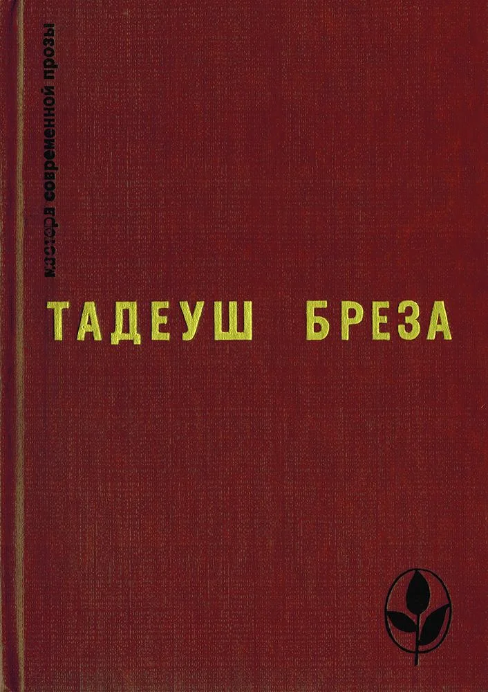 Обложка Стены Иерихона. Лабиринт