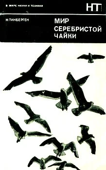 Обложка Мир серебристой чайки