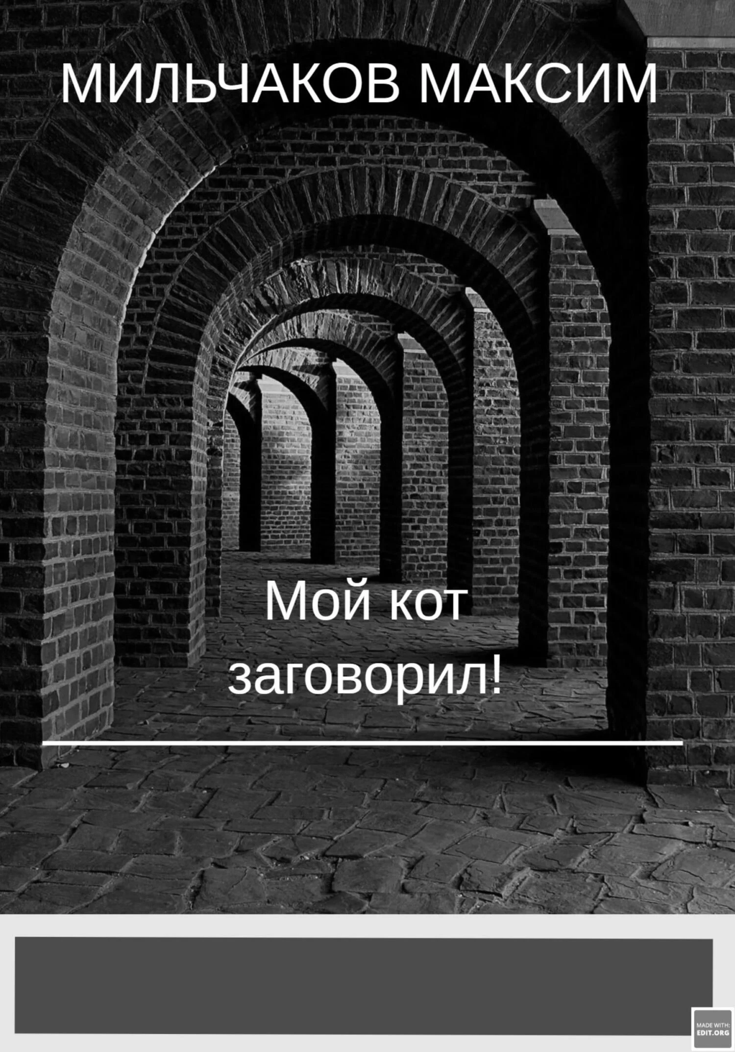 Обложка Мой кот заговорил