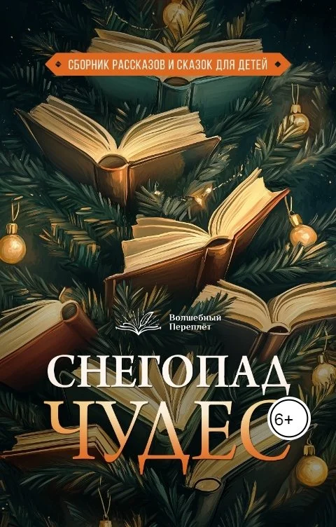 Обложка Снегопад чудес