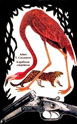 Обложка Карибские сокровища