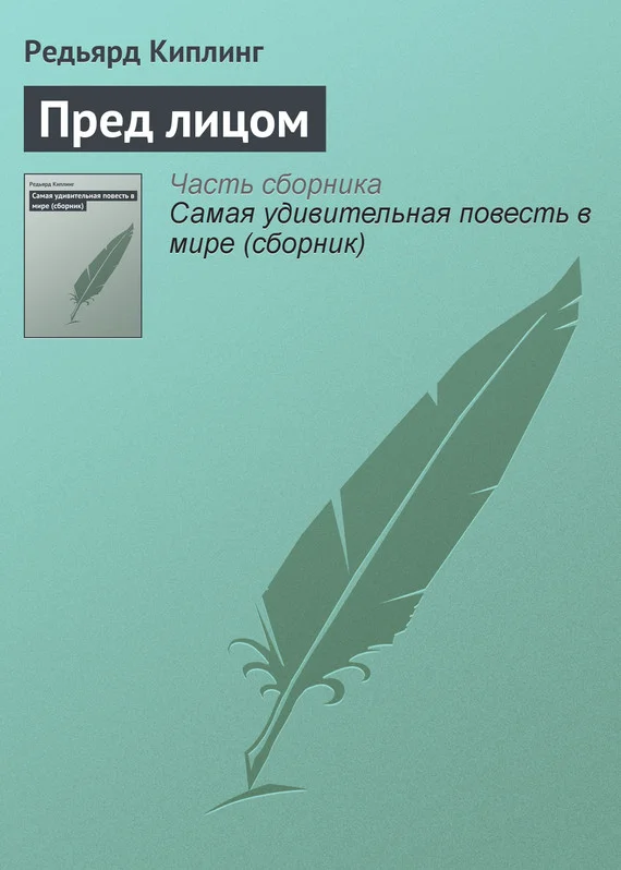 Обложка Пред лицом