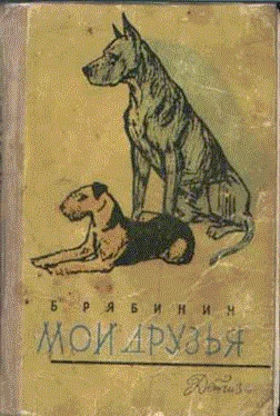 Обложка Мои друзья