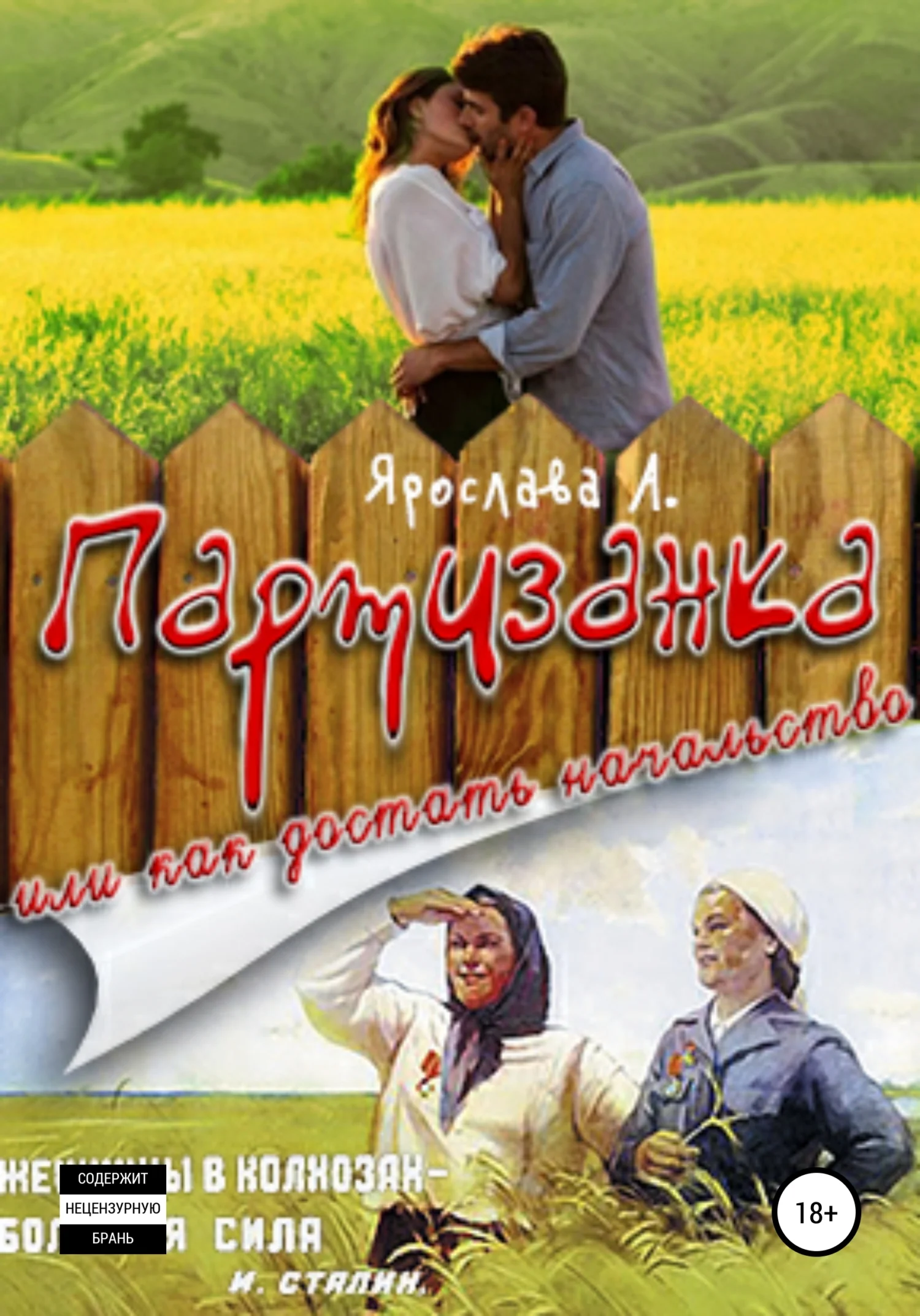 Обложка Партизанка, или Как достать начальство